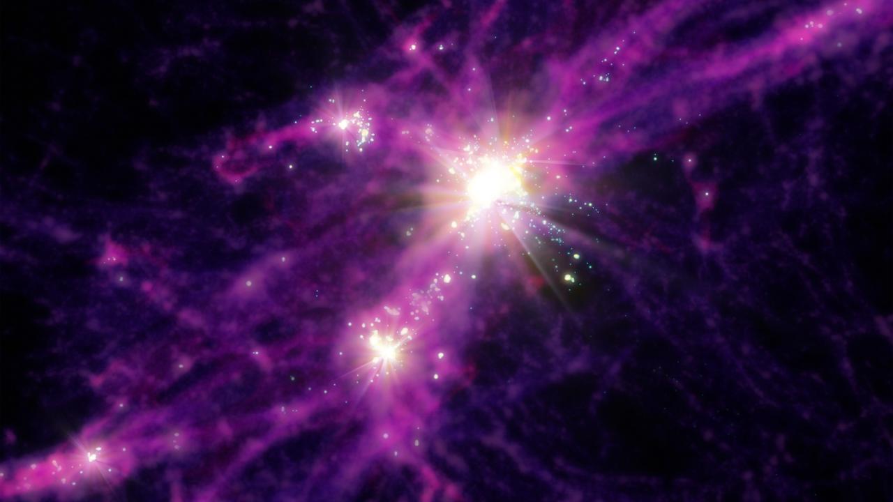 Bright white blobs among purple threads against a black background. 