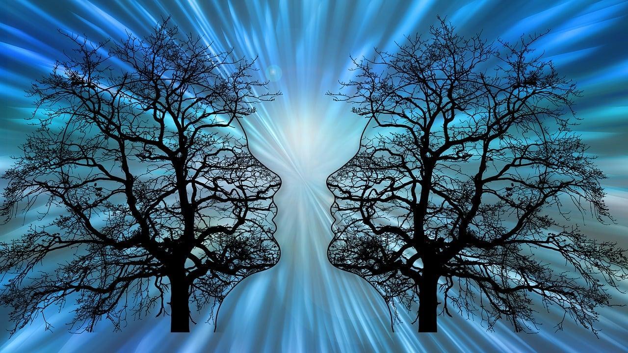 Graphic of two branching trees shaped as human heads facing each other. Between them is a burst of light. 