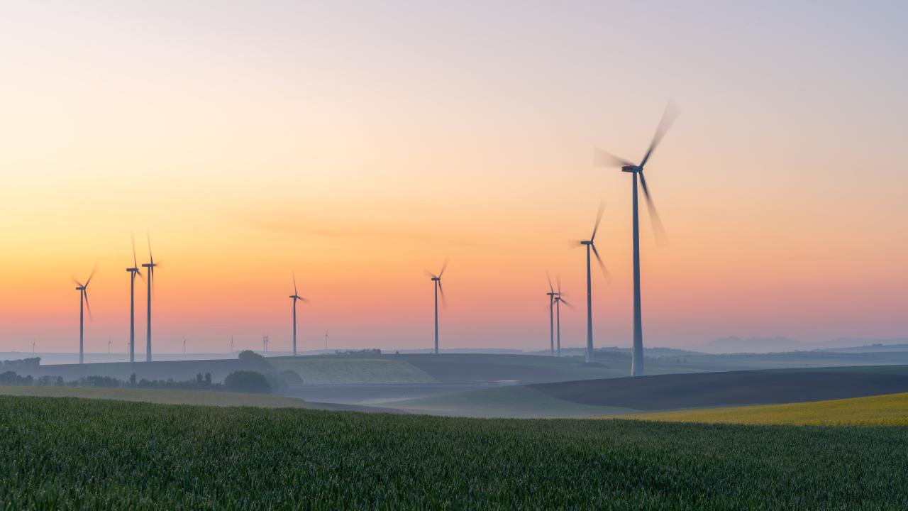 Photo of windmills