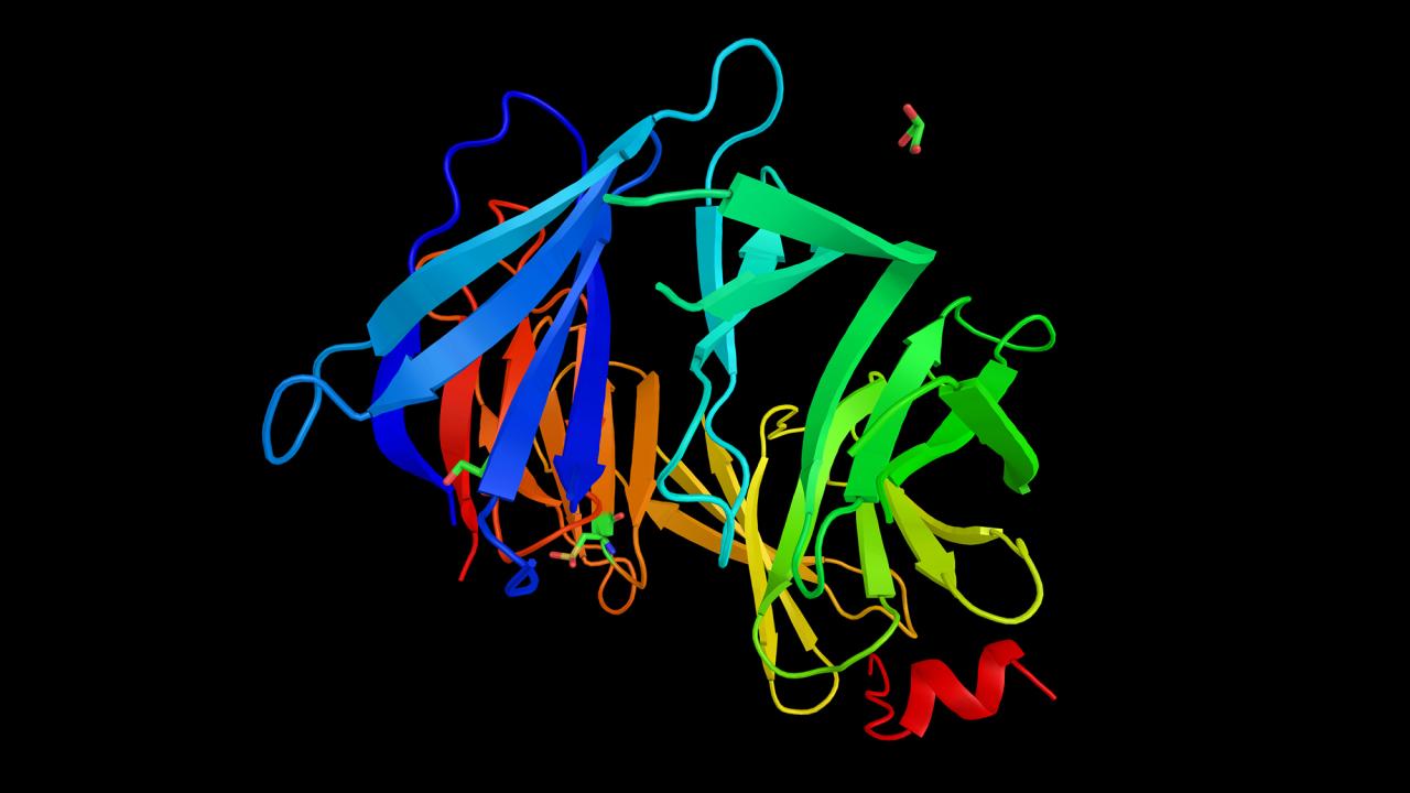 A multicolored three-dimensional ribbon against a black background. 