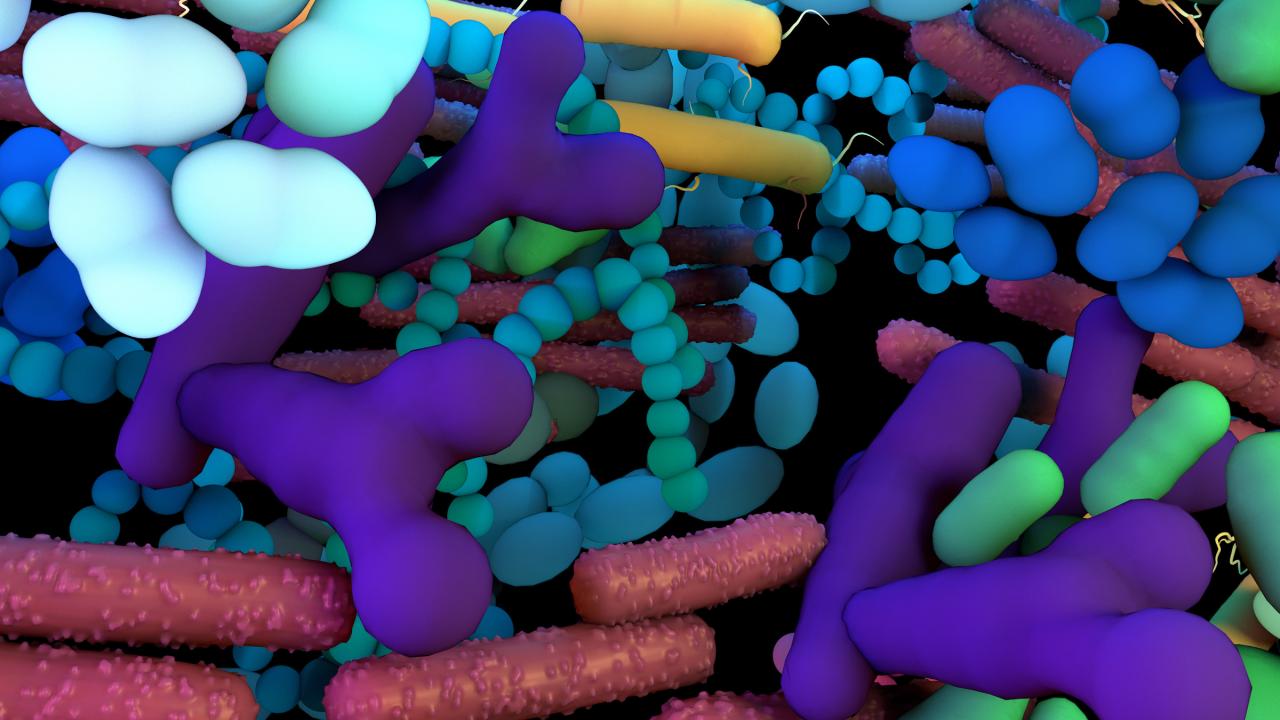 Colorful microbes