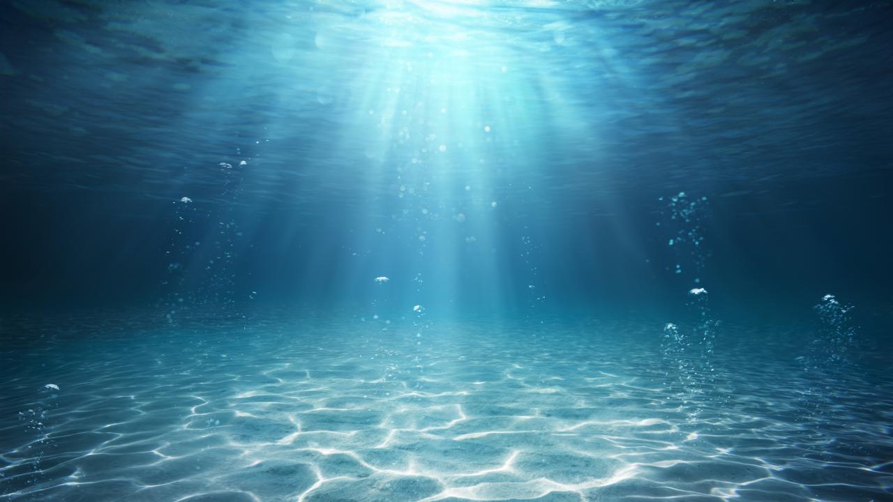 Underwater image of a sandy ocean floor with sunlight filtering from above. 