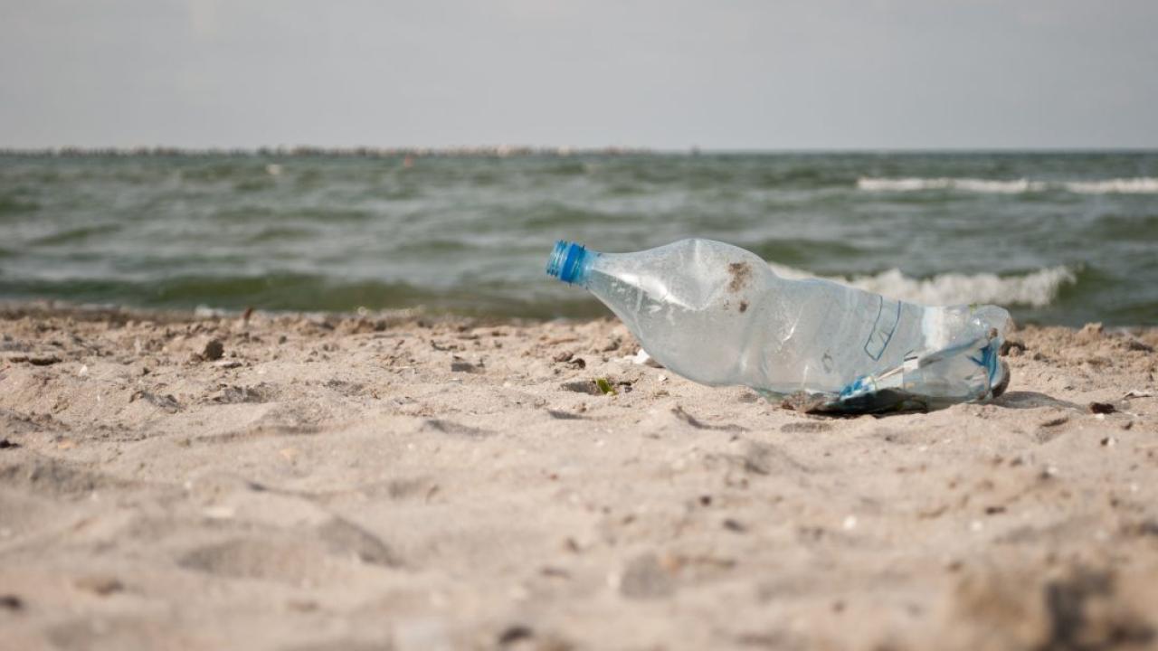 Plastic garbage on the beach.