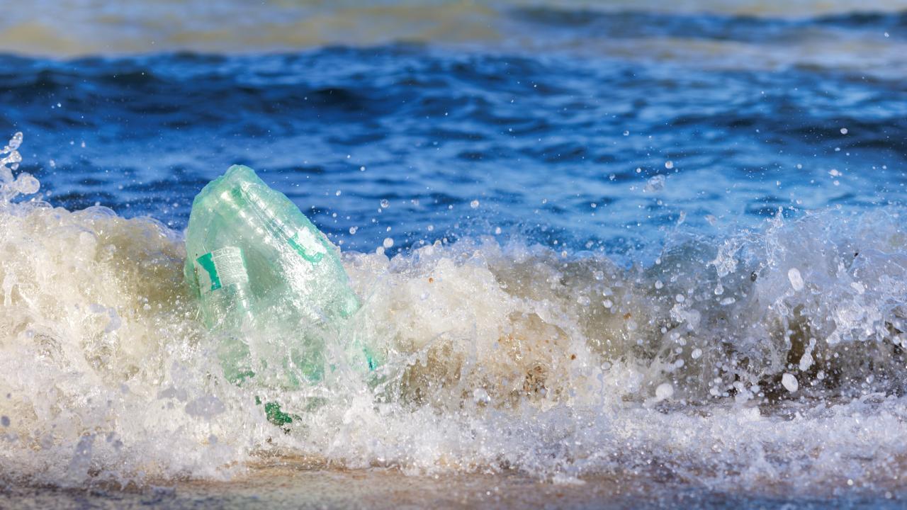 Green plastic jug tossed in foamy surf as waves crash on a beach