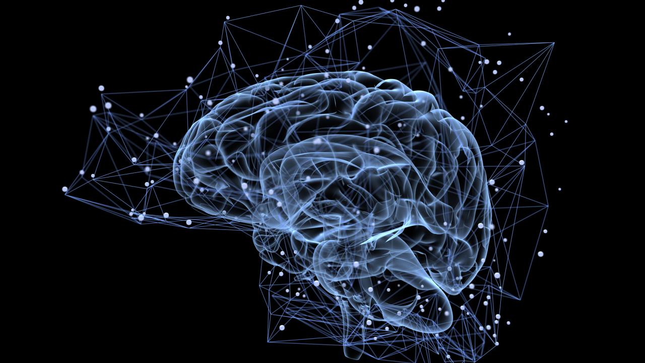 Transparent outline of a human brain surrounded by a network of points against a black background