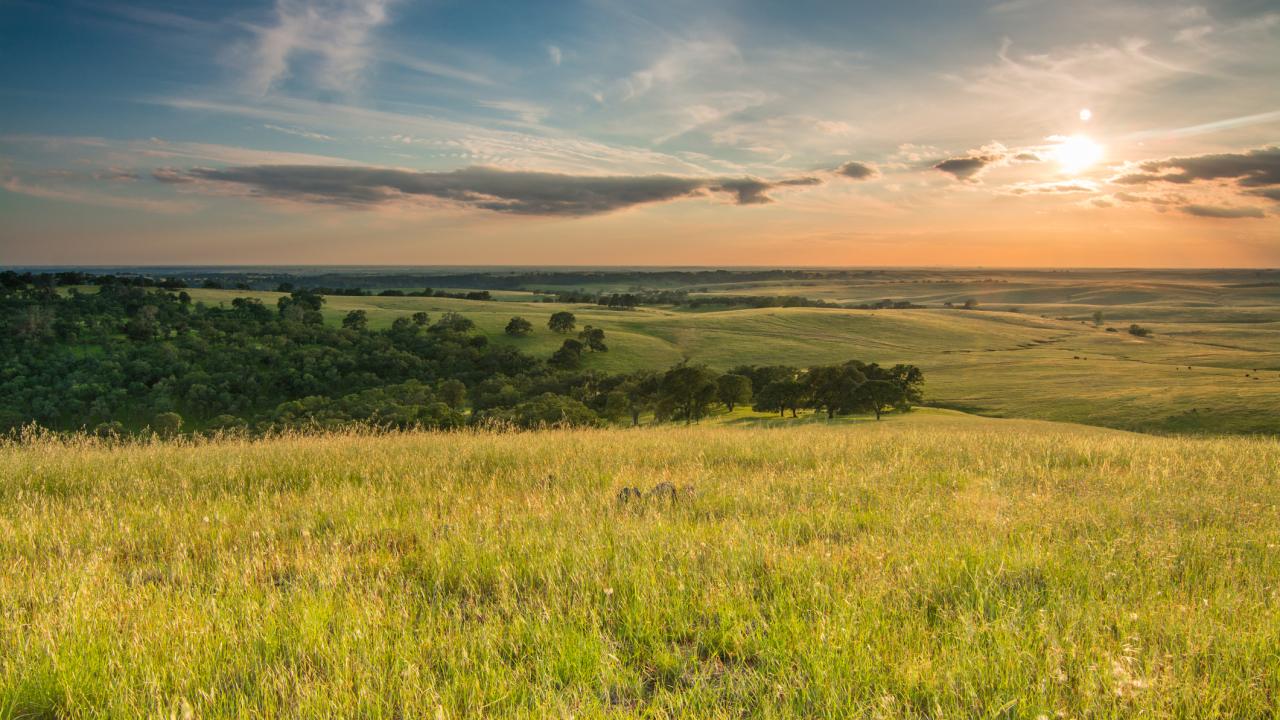 Setting sun over grasslands with some trees in the middle of the picture. 