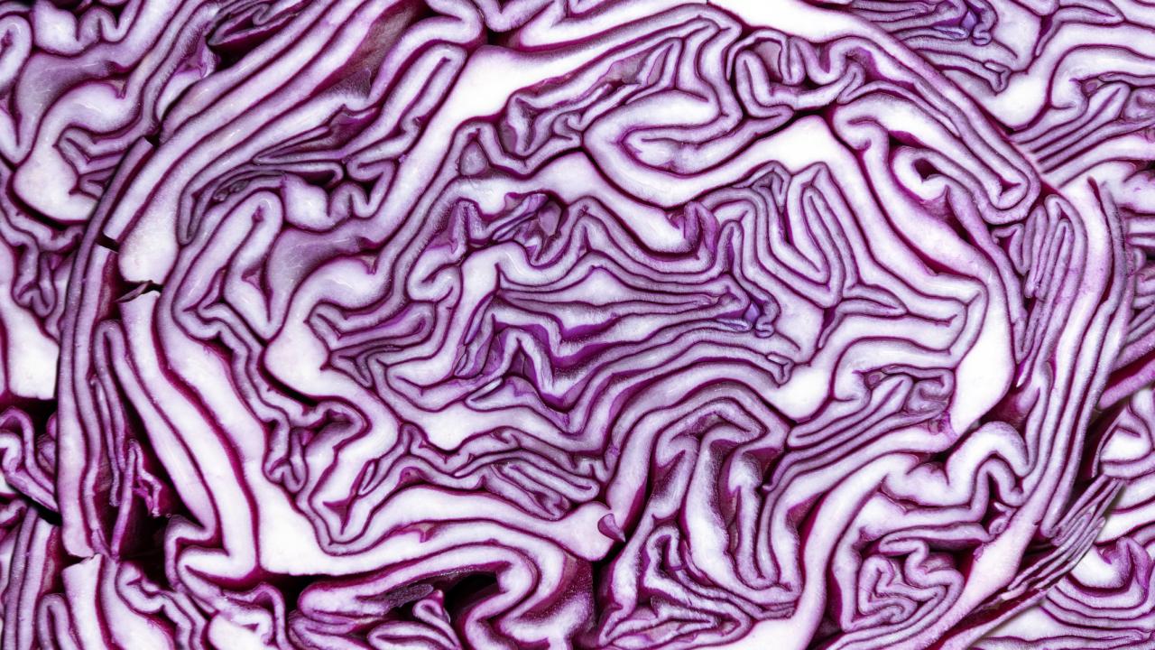 Red cabbage