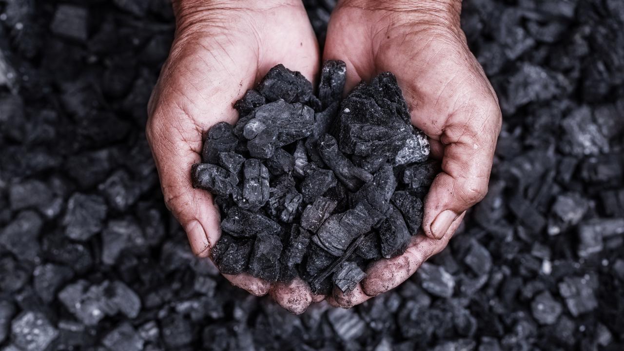 two hands hold scoopful of black coal fragments