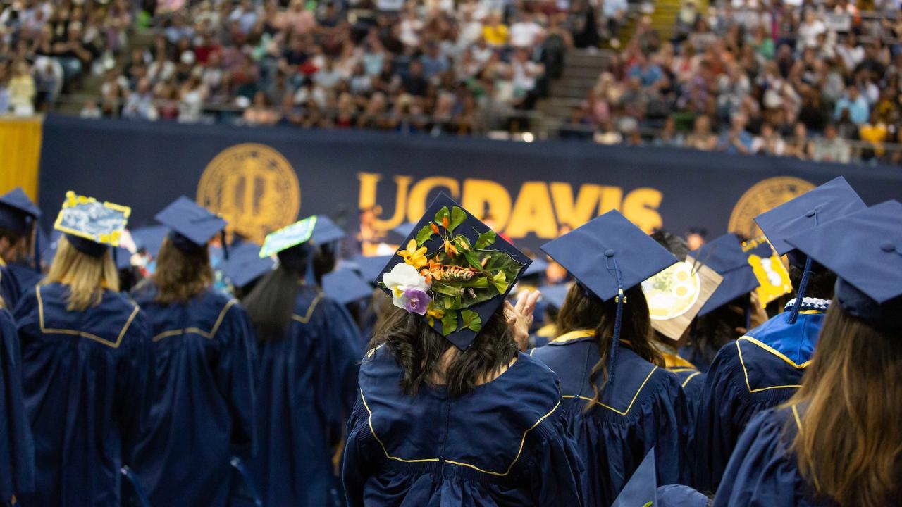 Picture of Graduates Caps During Commencement