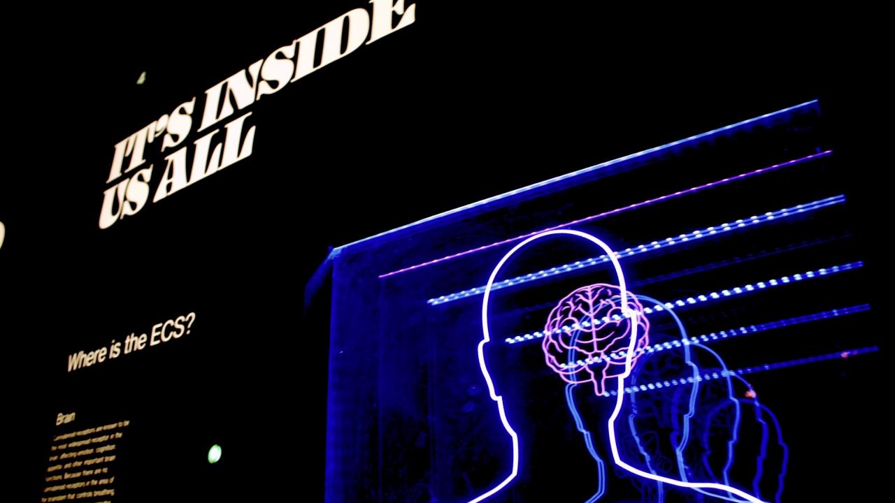 Museum exhibit with layered neon-blue outlines of human heads and illuminated signage