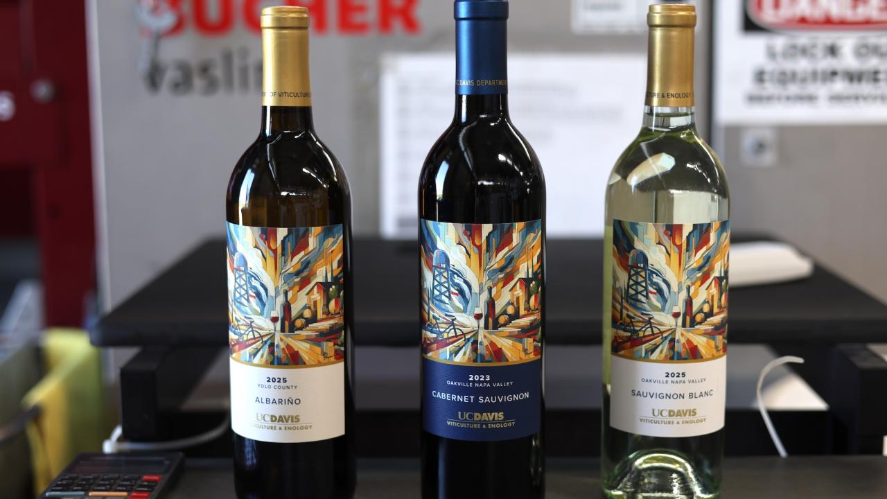 Three wine bottles (two red, one white) with colorful labels on a counter. UC Davis-labeled releases this year will include a Napa Valley 2022 cabernet sauvignon, a Napa Valley 2025 sauvignon blanc and a Yolo County 2025 albariño. (UC Davis)