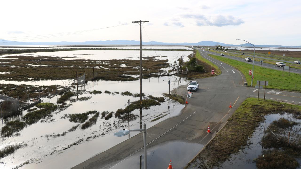 Partially flooded coastal road with parked car, marshland and utility pole