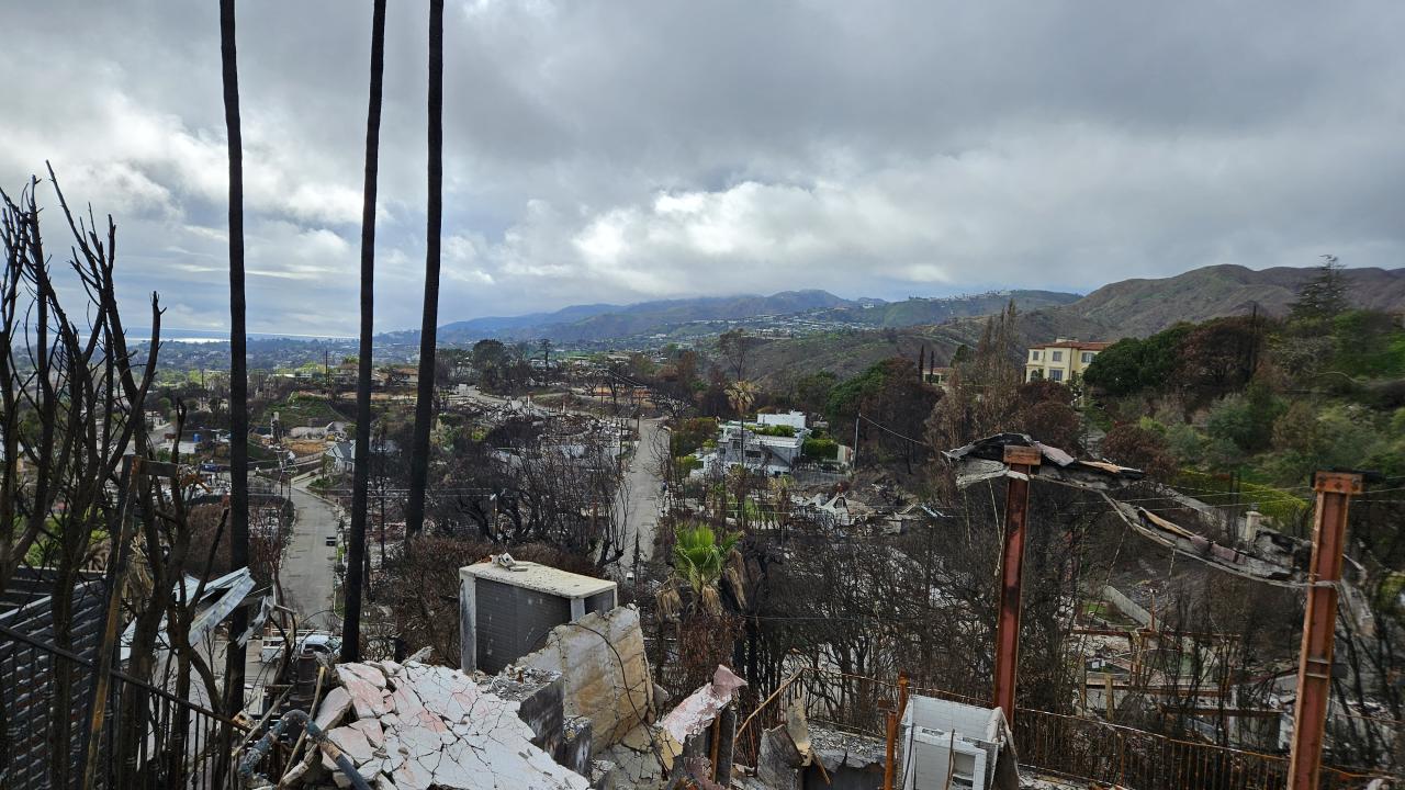 Burned hillside with charred trees and ruined homes, cloudy sky and distant LA county skyline.