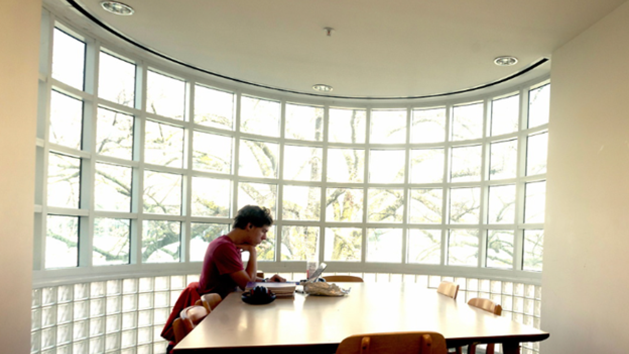 A student in a red shirt studies in front of a wide, sunny window inside UC Davis’ Shields Library. 