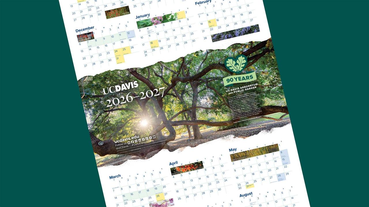 Calendar pages with sunlight-dappled oak tree photo and monthly grids