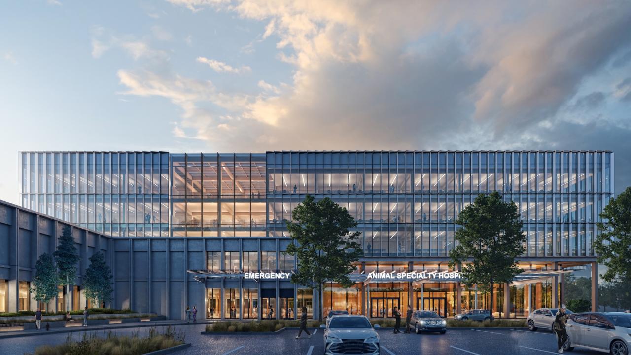 Modern glass office building at dusk with warm-lit interiors, front trees and parked car. A conceptual rendering of the entrance to the new small animal hospital. The final design is subject to change. (WRNS Studio)