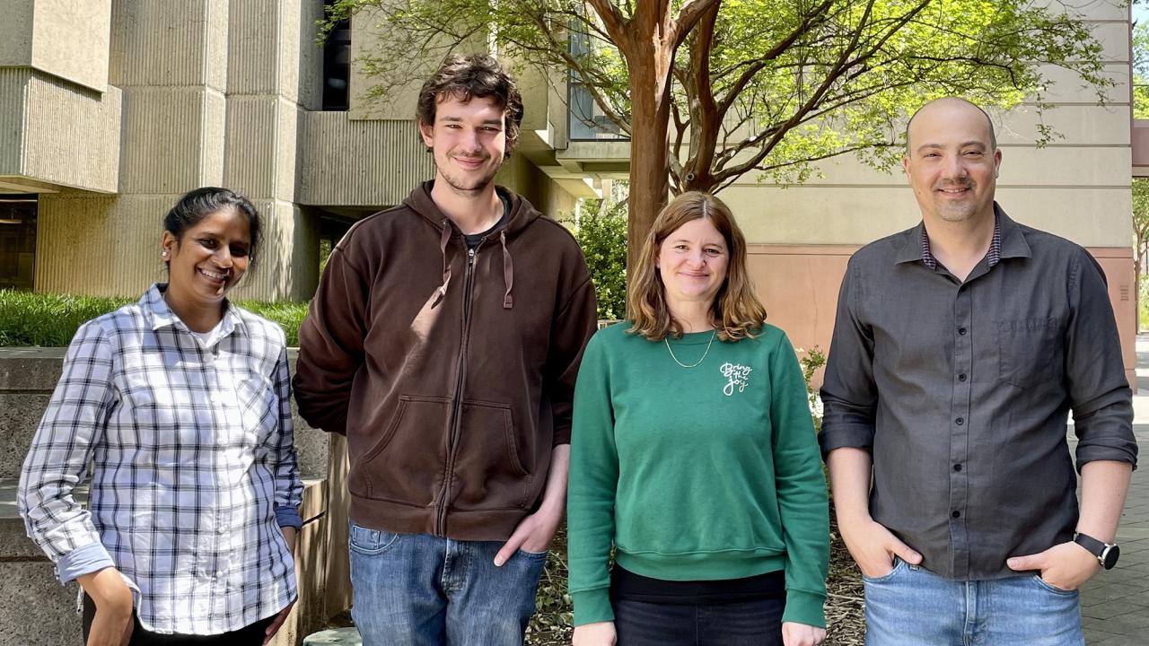 Group of four people facing camera, outdoors