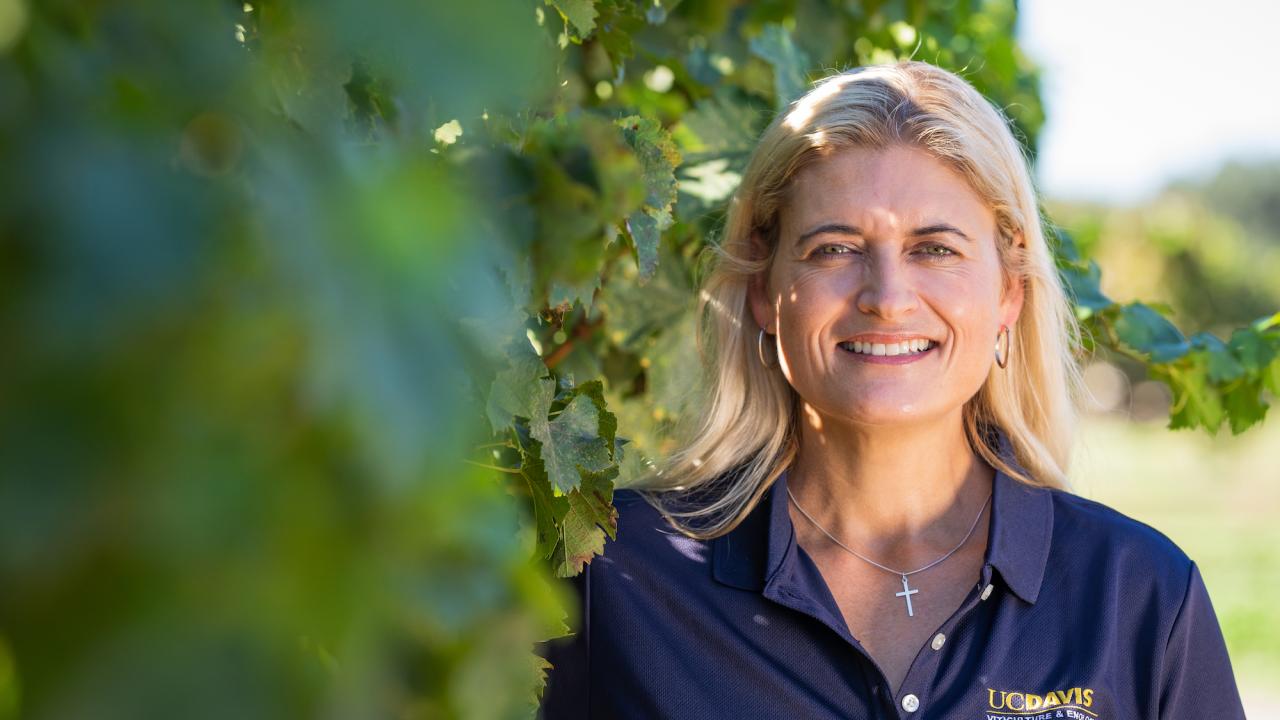 UC Davis enologist Anita Oberholster, pictured here standing next to a vineyard, and two of her colleagues from other universities are being recognized for their research on how wildfire smoke affects grapes, grapevines and wine composition.