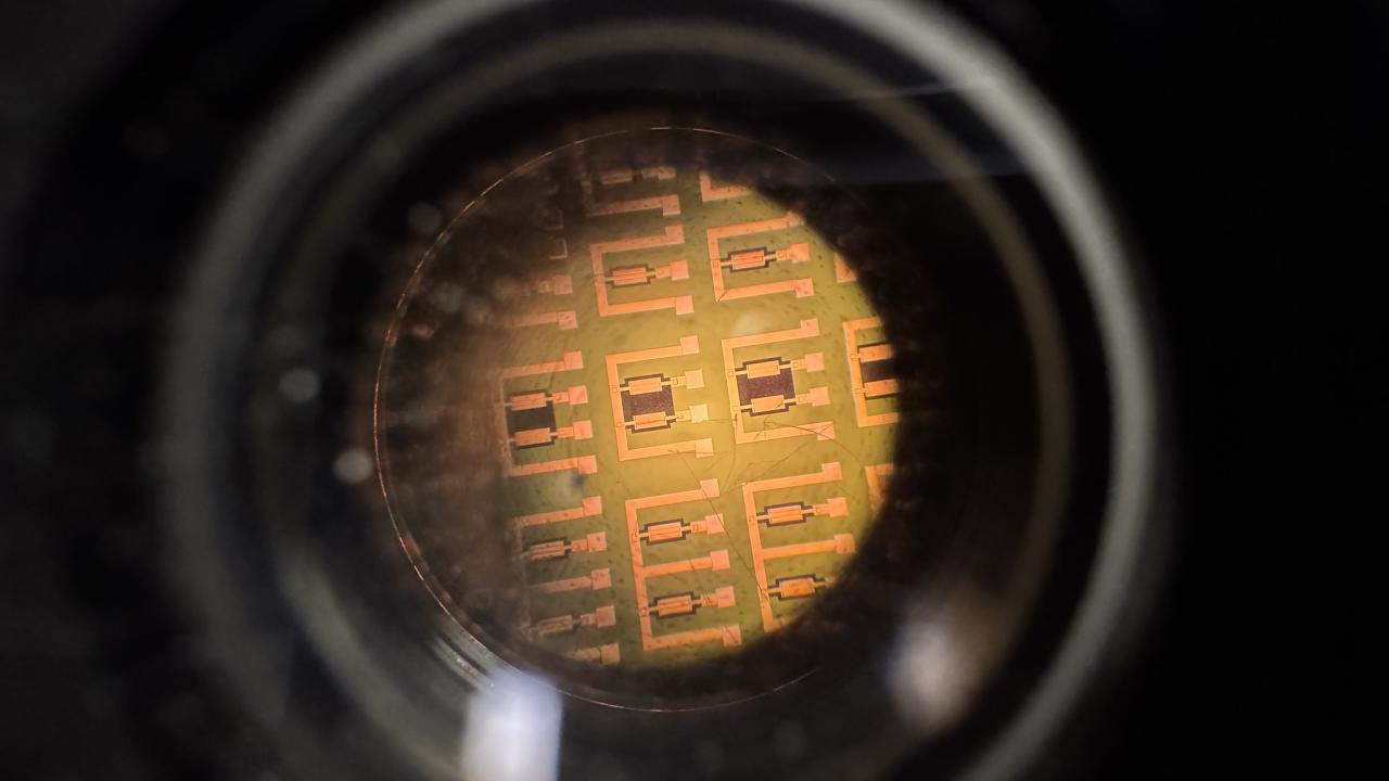 Microscope view of illuminated gold sensor showing a square grid 