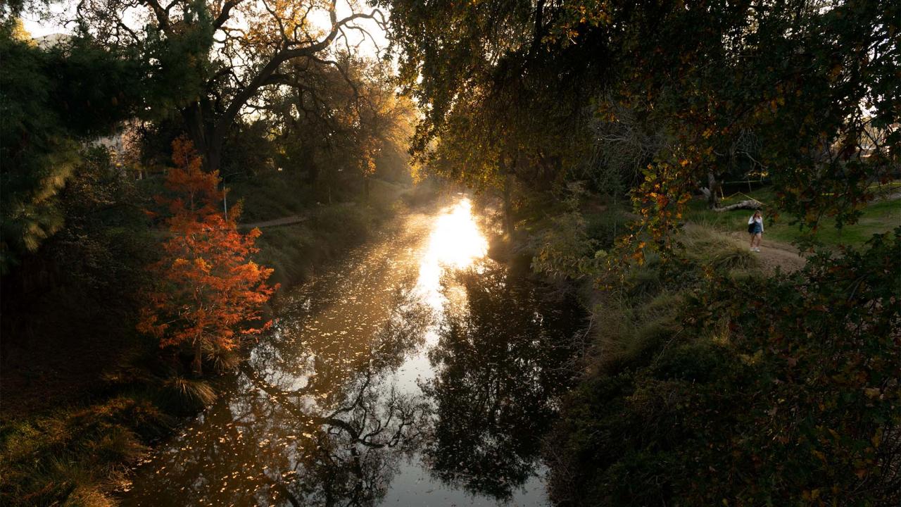 A person walks through the Arboretum at sunset. 