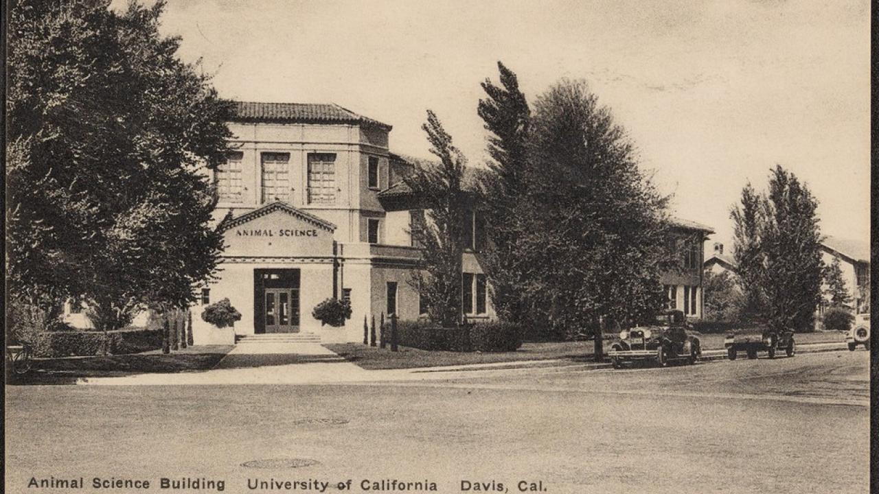 Black and white image of building with trees surrounding it