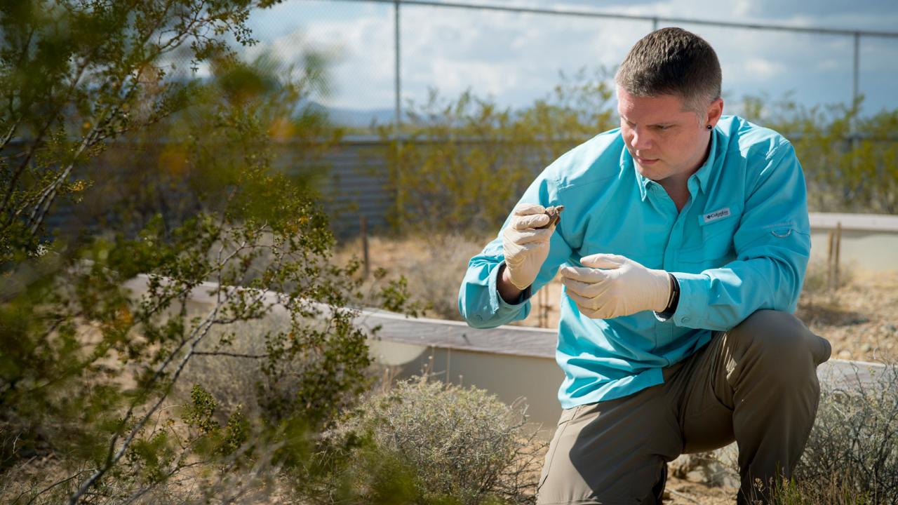 Man in field, holding small desert tortoise