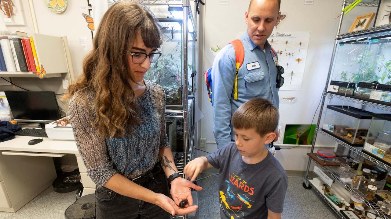 Young child prepares to touch a cockroach