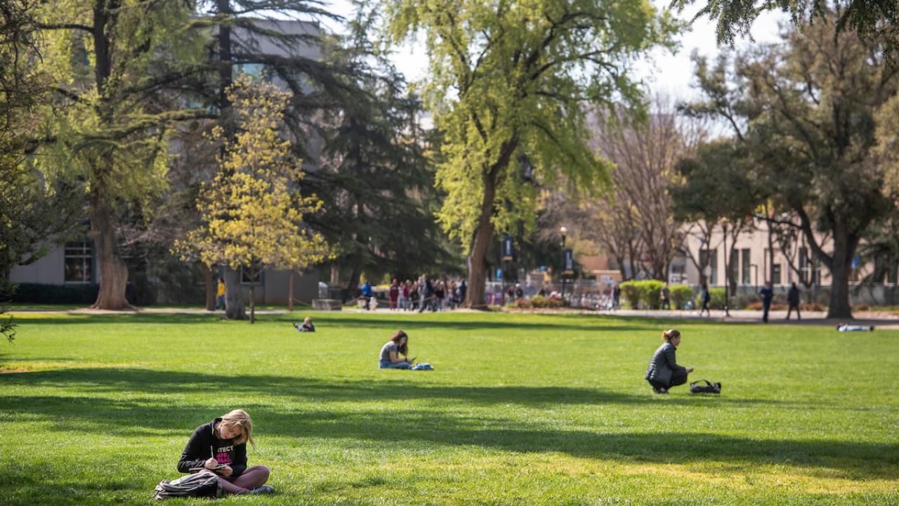 Students sitting spaced out on the quad