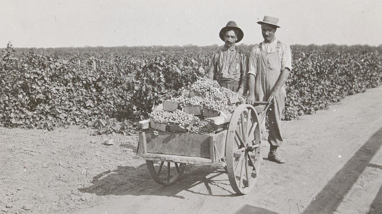 Two farmers in hats pushing a cart of produce along a dirt road, black-and-white photograph