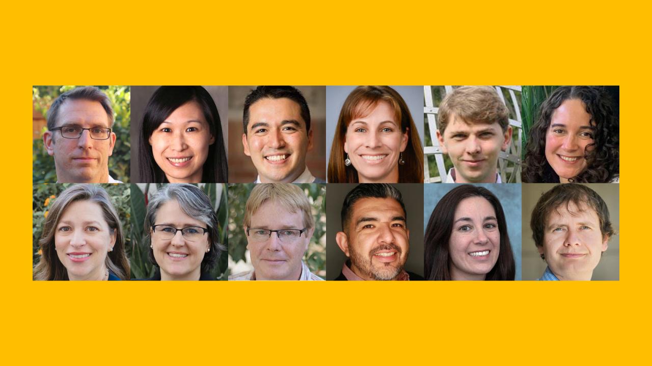 12 headshots on gold background