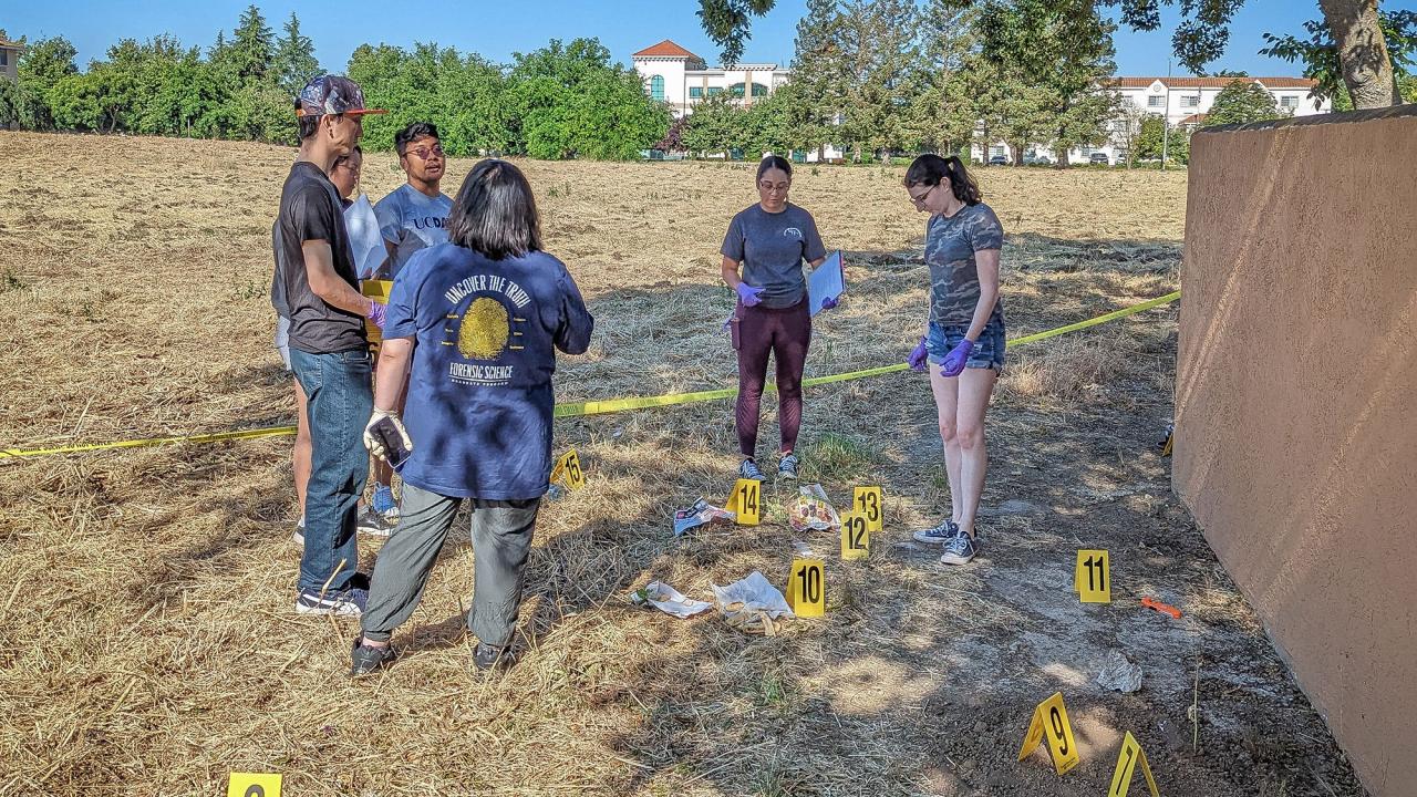 People in a sunny field examining numbered yellow evidence markers