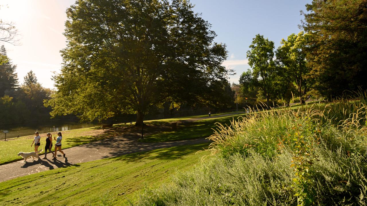 a group of people walking around Lake Spafford in the Arboretum