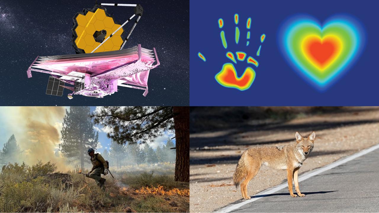 Telescope &amp; pink plane; colorful handprint and heart; knight on horseback; roadside coyote