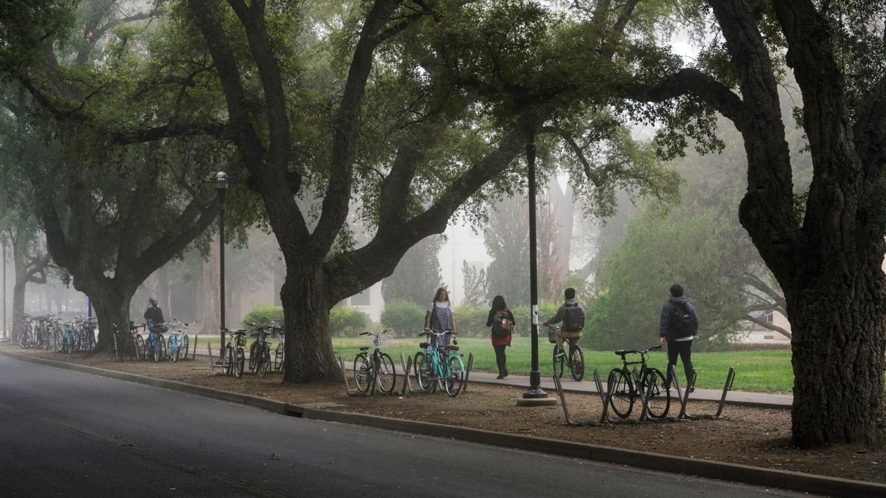 Foggy day on the Quad