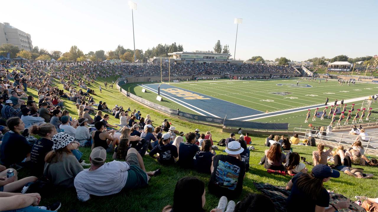 Students watch UC Davis football game.