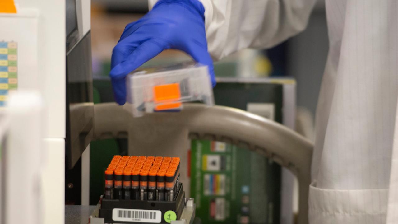 Photo of gloved hand holding a block of test tubes