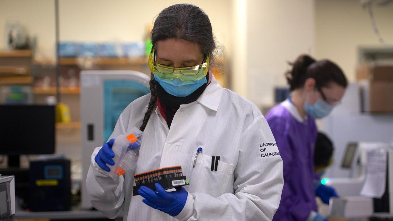 Woman holds tray of COVID-19 test samples.