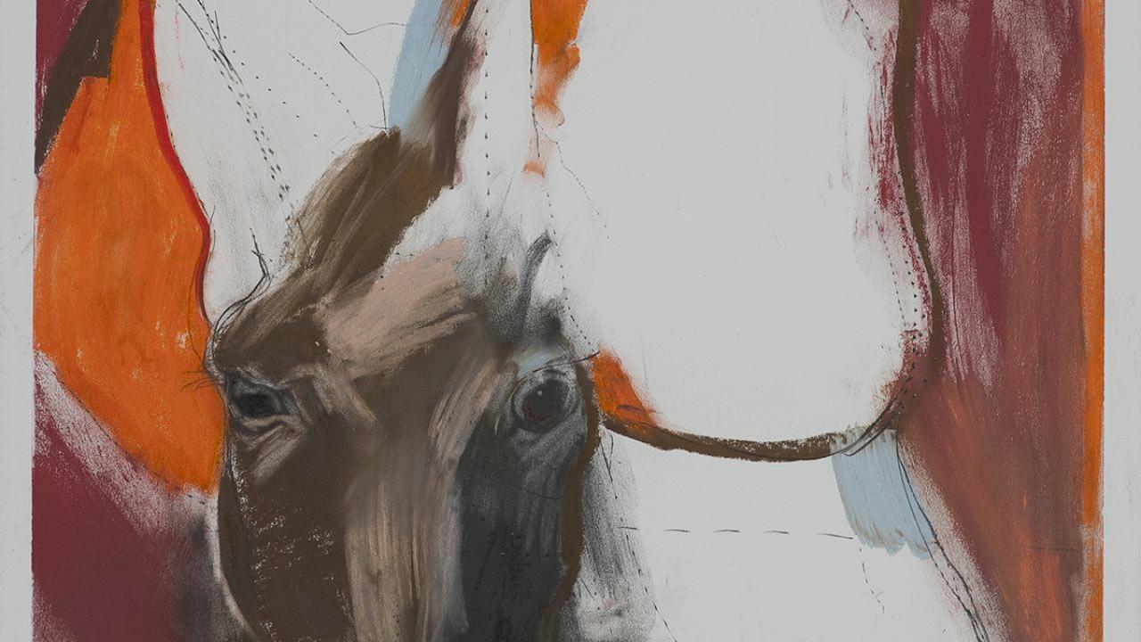 An abstract painting with a representational horse painted into it at the Gorman museum of native art UC Davis