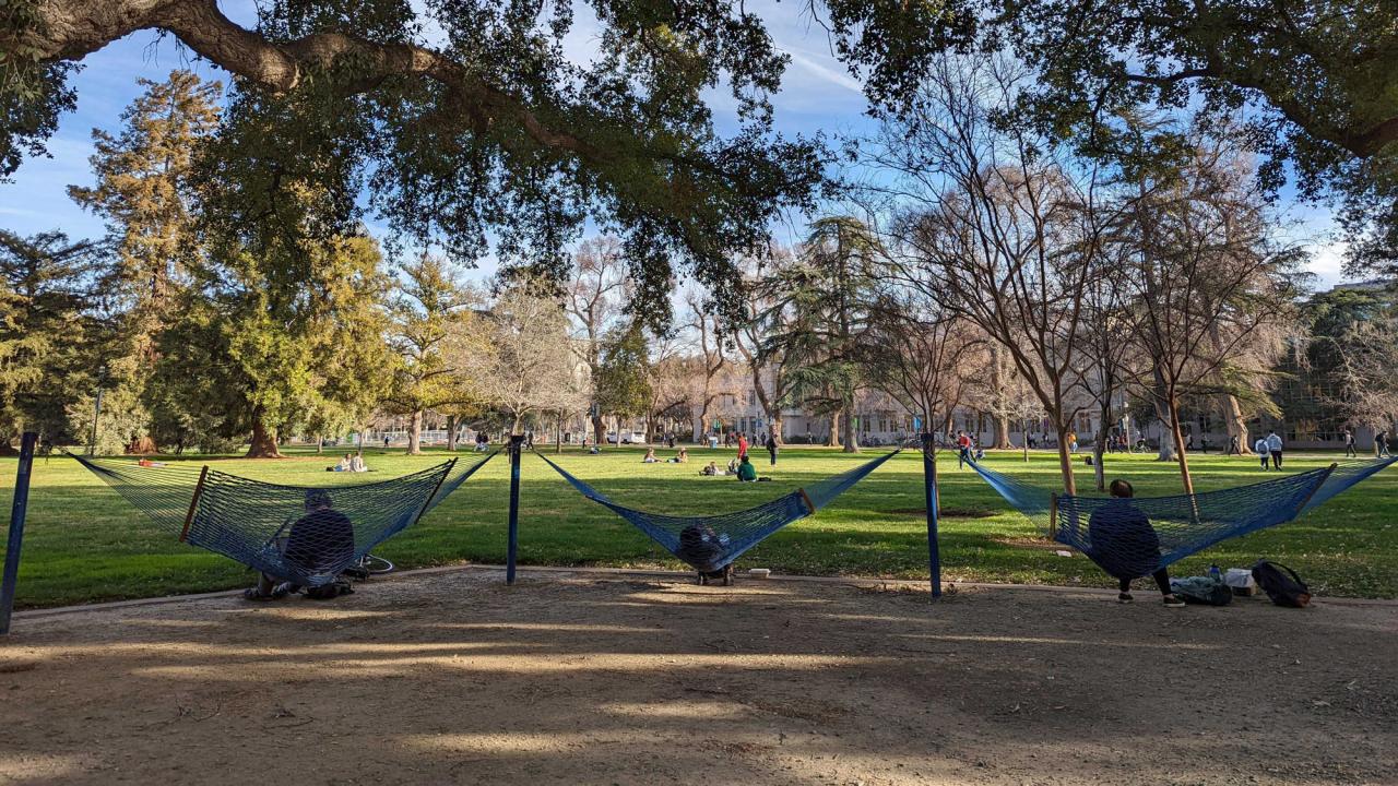 Hammocks in use on the Quad