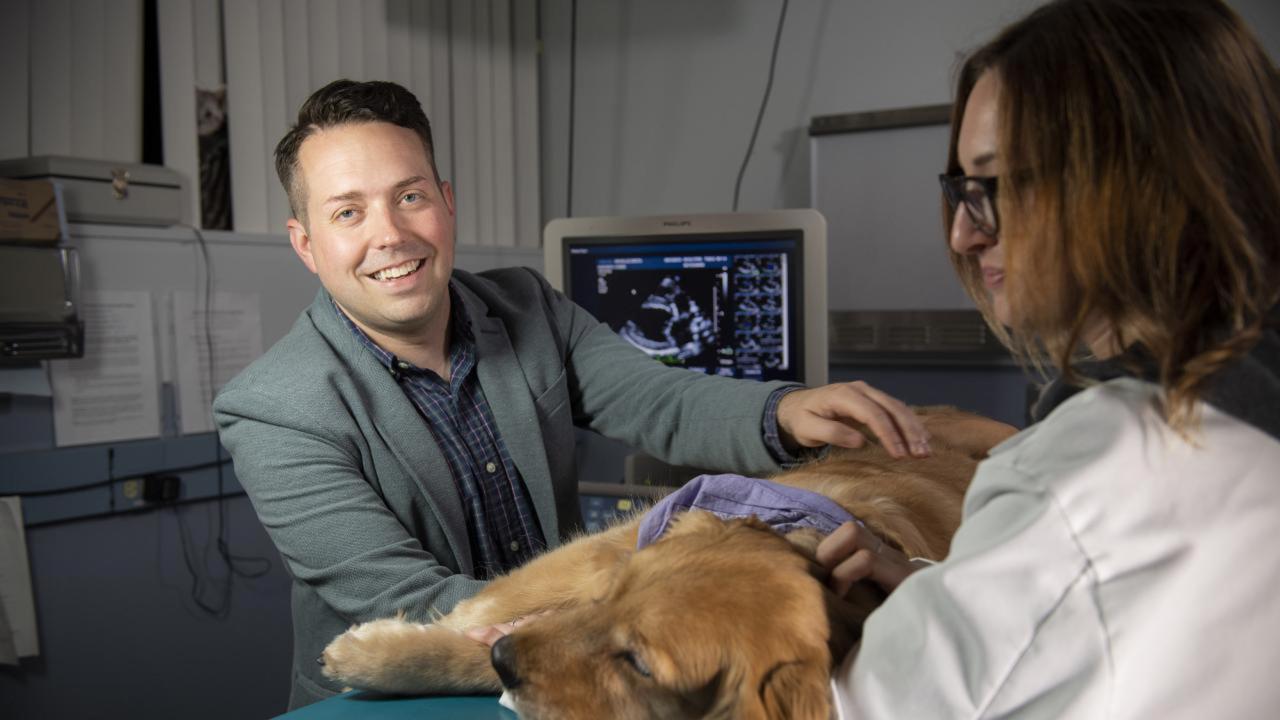 Joshua Stern examines a dog.