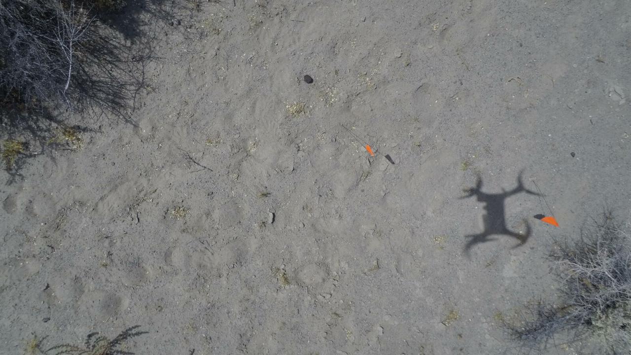 Seen from above range flags in sand with shadow of quadricopter drone. 