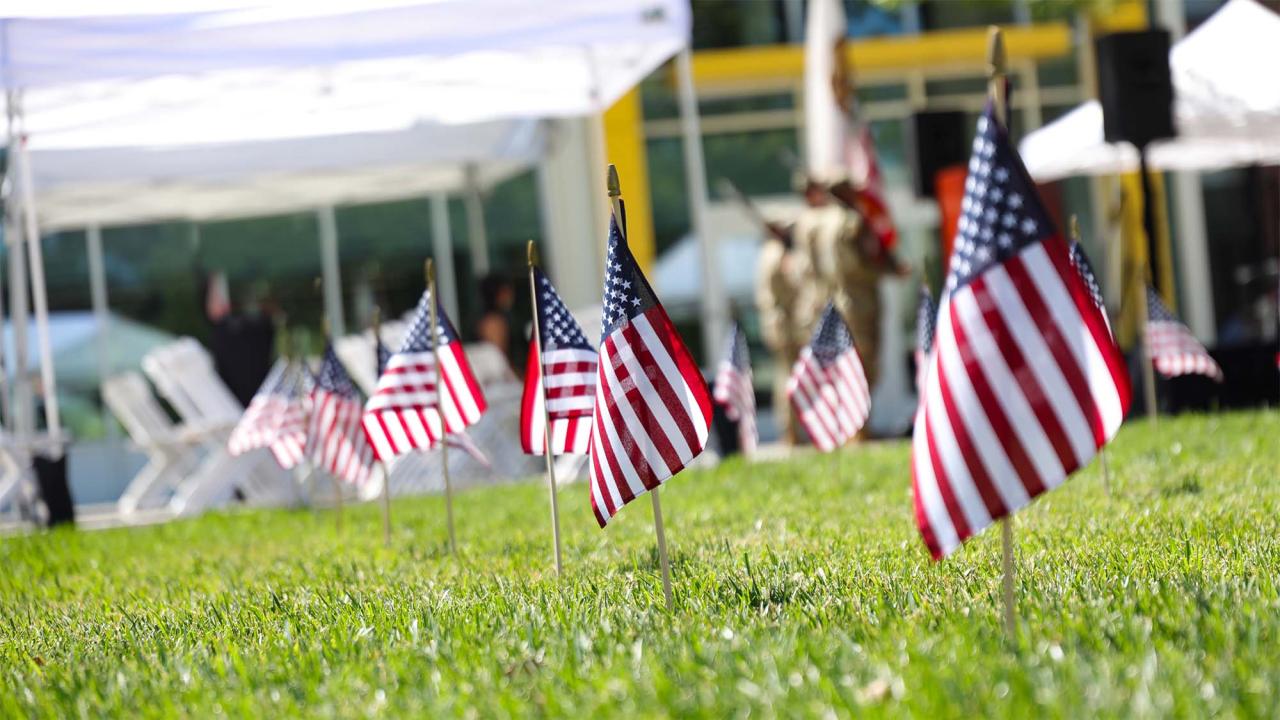 American flags planted in green grass near white tents at an outdoor event