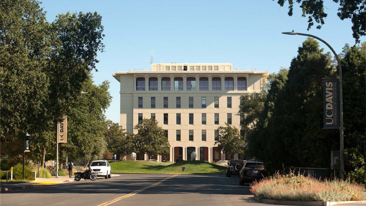 Photo showing road toward Mrak Hall