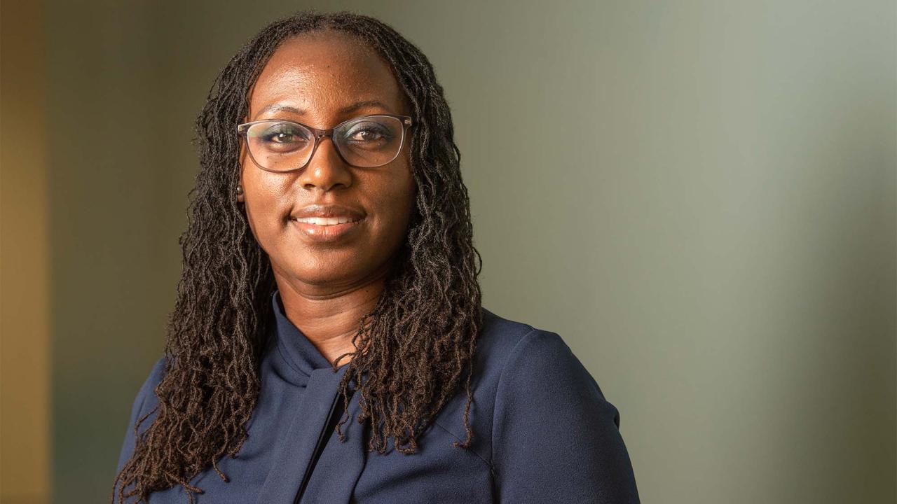 ORG CHART Summer Sessions, Mission Continuity, More UC Davis