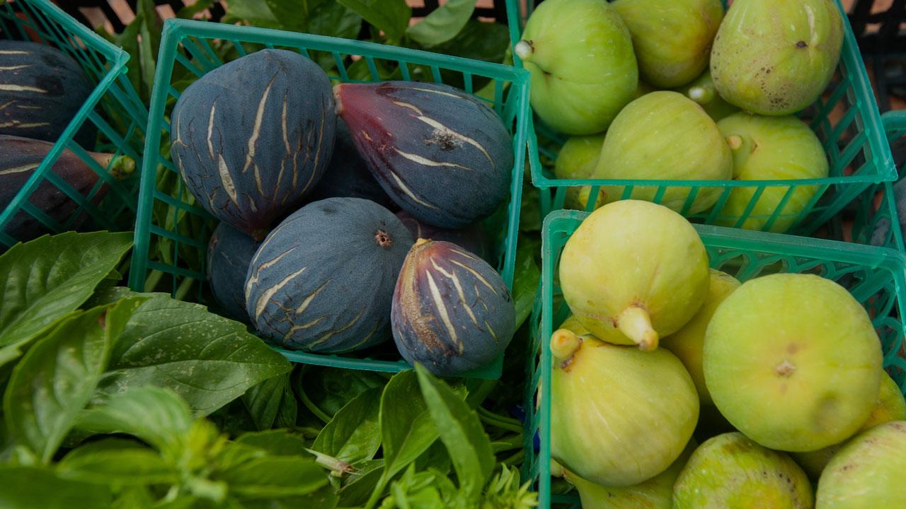 A basket of fresh fruits and vegetables