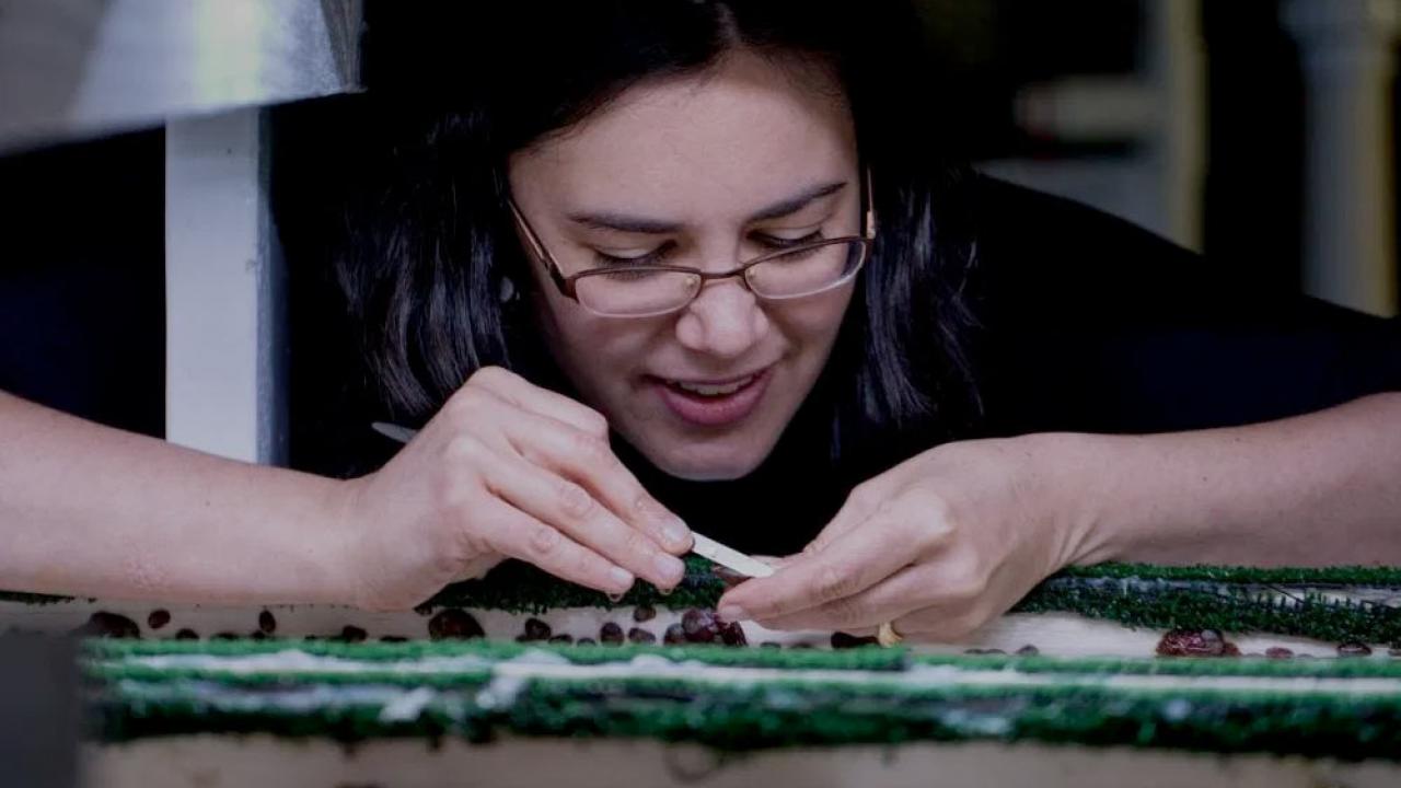 A female researcher works with samples