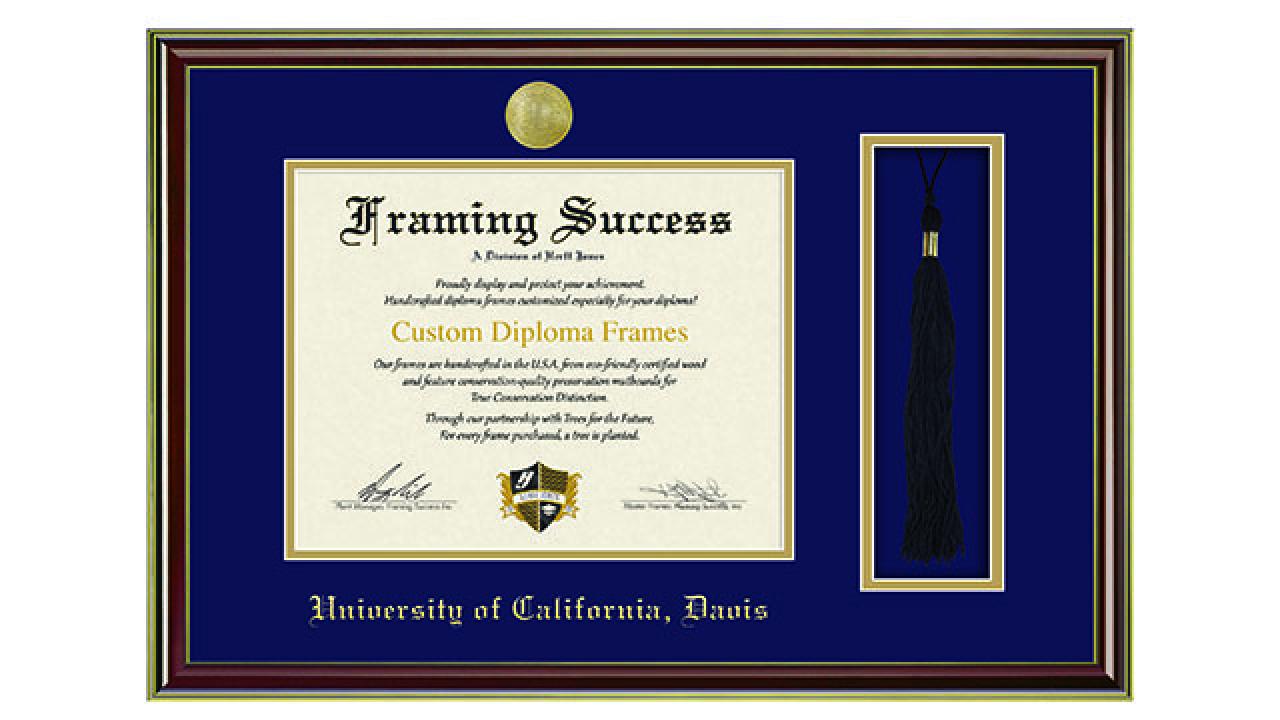 Framed diploma with blue mat, gold seal and hanging tassel
