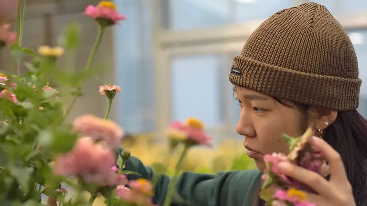 Person in brown beanie tending pink and yellow flowers by a window, photograph