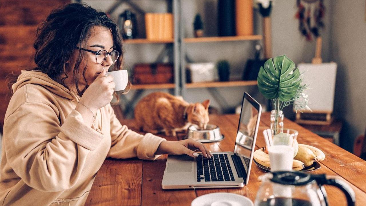 telecommute