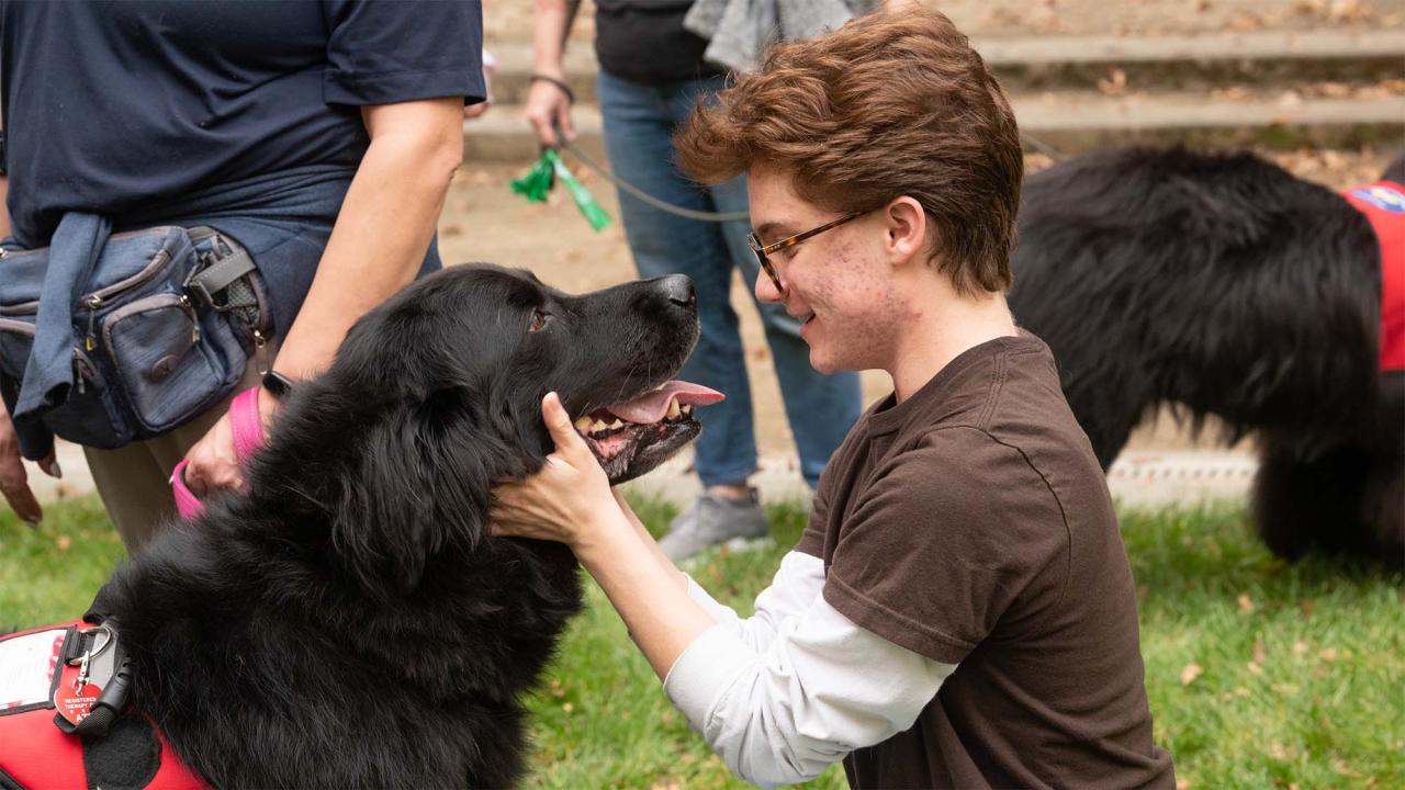 Person crouching on grass, smiling while petting large black dog in red harness